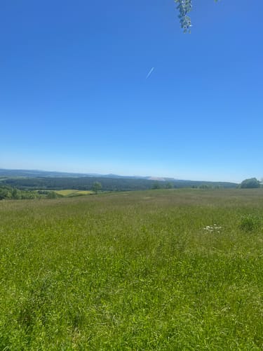 Tannenburg P18 (Premiumwanderweg)