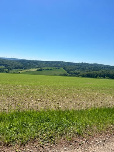 Tannenburg P18 (Premiumwanderweg)