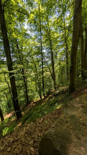 Durch das wildromantische Schweinbachtal zur Bruderhöhle