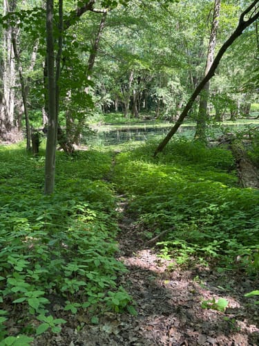 Aus Werder um den Glindower See