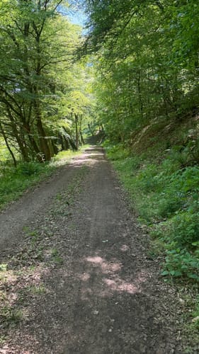 Aar-Höhenweg Etappe 2: Bad Schwalbach - Aarbergen