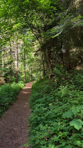 Durch das wildromantische Schweinbachtal zur Bruderhöhle