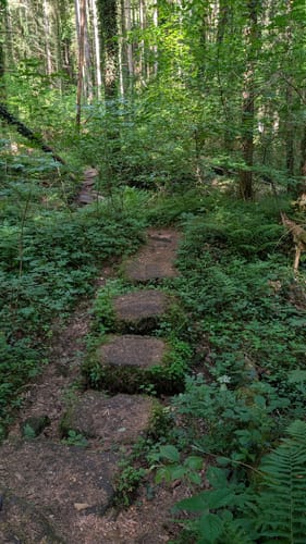 Durch das wildromantische Schweinbachtal zur Bruderhöhle