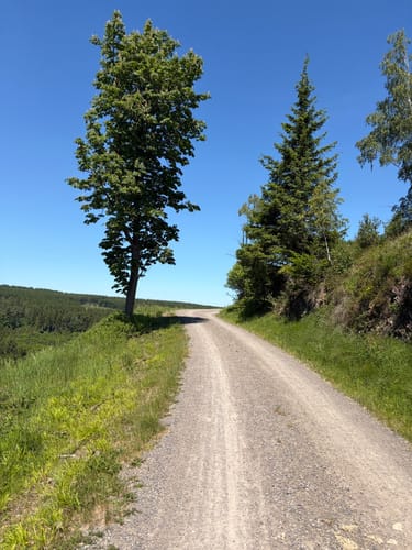 Biberweg (05)