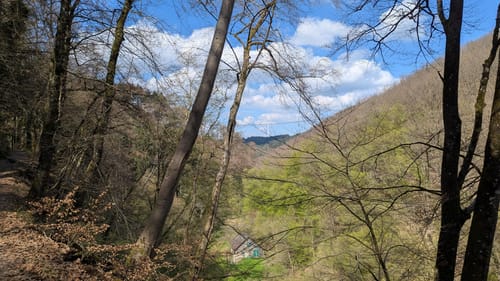 Geierlayschleife (Premiumwanderweg)