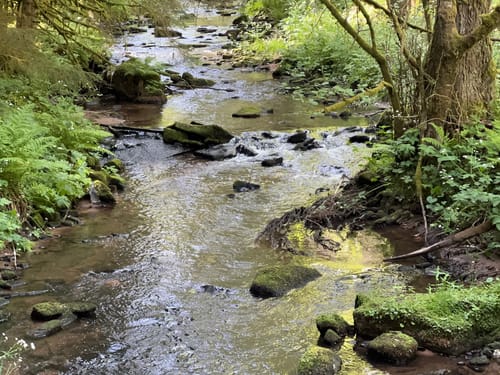 ParadiesTour Unteres Glasbachtal
