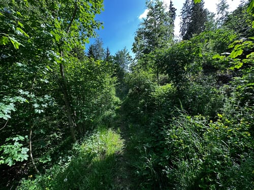 ParadiesTour Unteres Glasbachtal