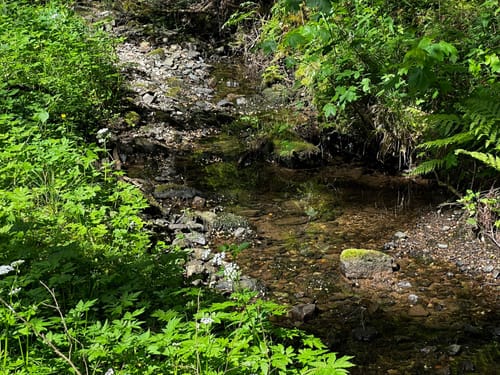 ParadiesTour Unteres Glasbachtal