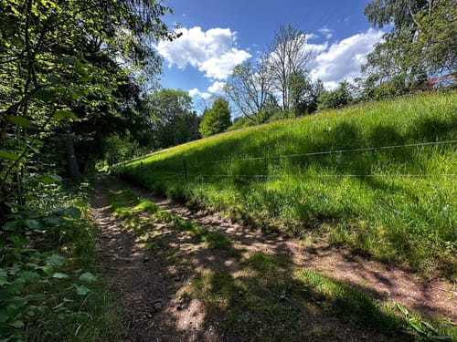 ParadiesTour Unteres Glasbachtal