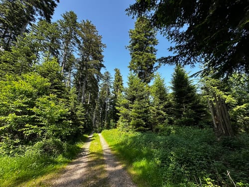 ParadiesTour Unteres Glasbachtal