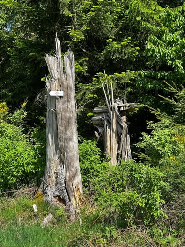ParadiesTour Unteres Glasbachtal
