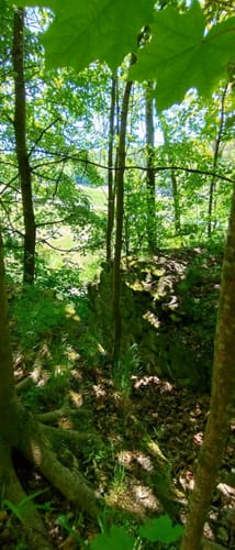 Rundweg Weidatalsperre