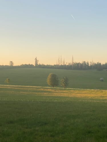 Fuchskaute - Drei-Länder-Eck Rundwanderung R3