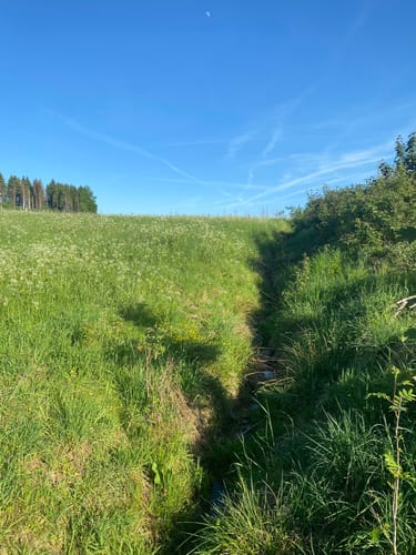 Fuchskaute - Drei-Länder-Eck Rundwanderung R3