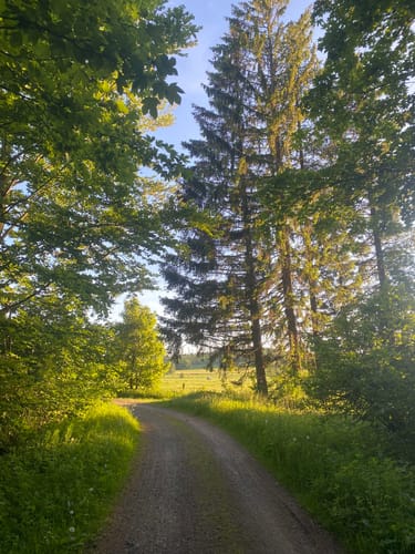 Fuchskaute - Drei-Länder-Eck Rundwanderung R3
