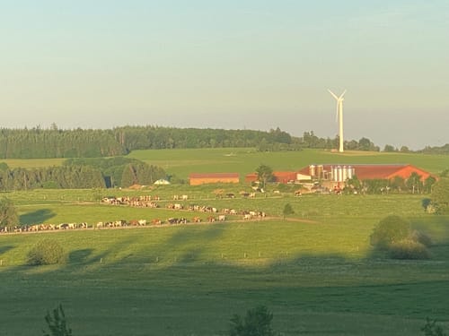 Fuchskaute - Drei-Länder-Eck Rundwanderung R3