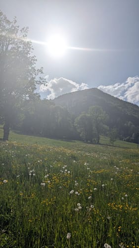 Brauneck Bergstation - Stangeneck Wanderung
