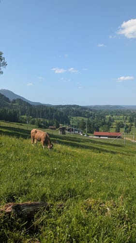 Brauneck Bergstation - Stangeneck Wanderung