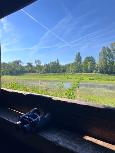 Rundwanderweg Riedstadt Erfelder Fußgängerbrücke 2: Nachtigallenweg