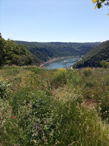 Loreley Runde