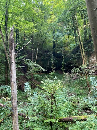 Happurg - Hohler Fels