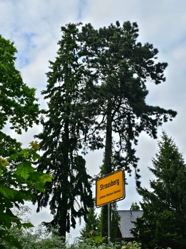 Straussee Runde