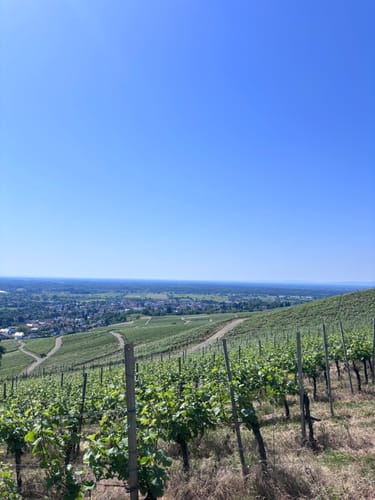 Tour zum Fremersberg