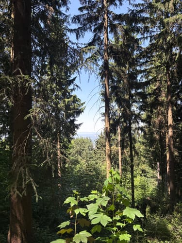 Tour zum Fremersberg