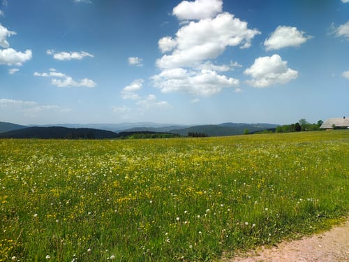 Mittelweg Etappe 7: Kalte Herberge - Neustadt