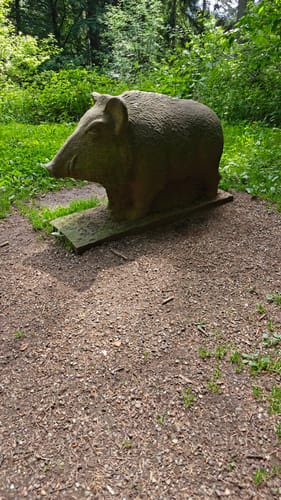 Rundwanderweg Wilhelmsfeld 9: Allmendwaldweg