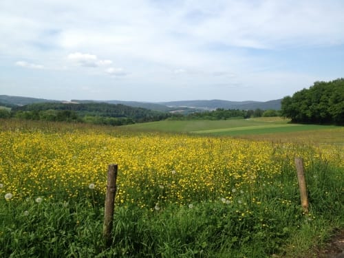 Rundwanderweg Siedelsbrunn 1: Kottenberg-Weg