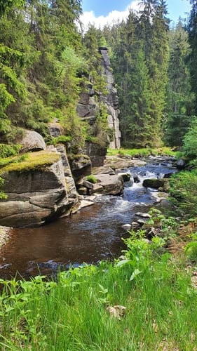 Im Schwarzwassertal