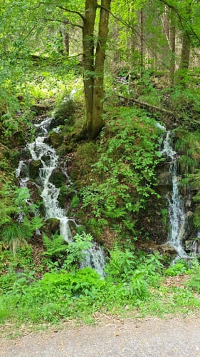 Im Schwarzwassertal
