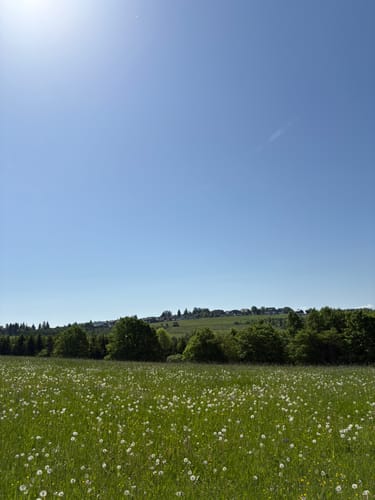 Rund um den Singerberg