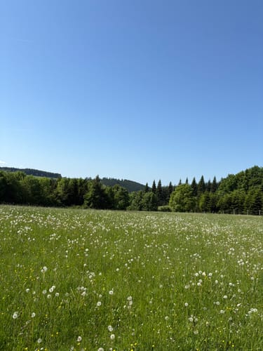 Rund um den Singerberg