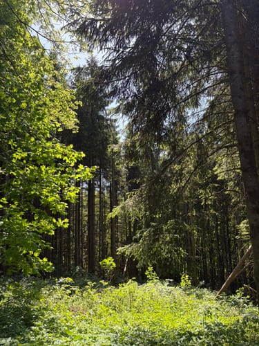 Rund um den Singerberg