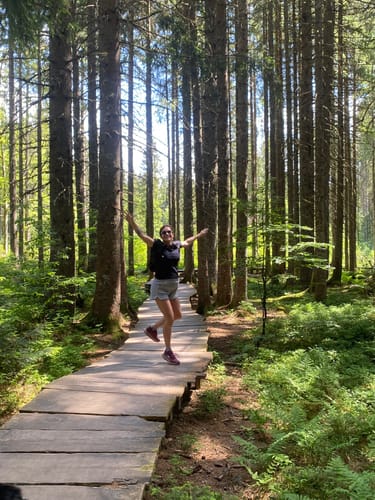 Zauberwald-Pfad - Bernau im Schwarzwald