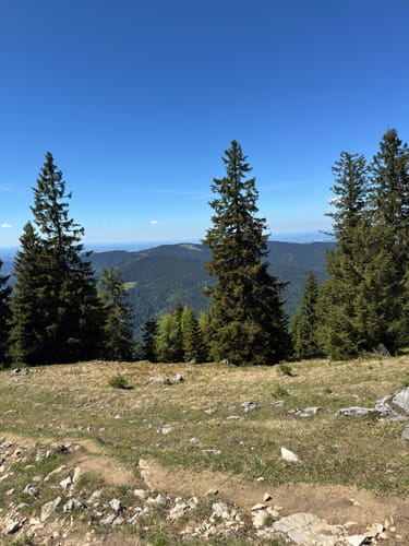 Von Einsiedl zum Gamskogel