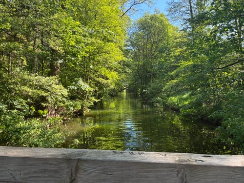 Rund um den Küchensee