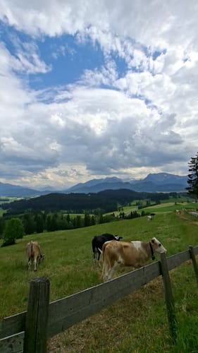 Burgruinen Eisenberg und Hohenfreyberg