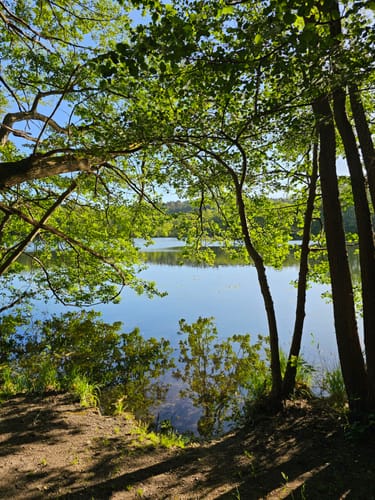 Um den Schermützelsee