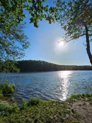 Um den Schermützelsee