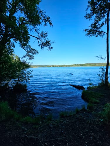 Um den Schermützelsee
