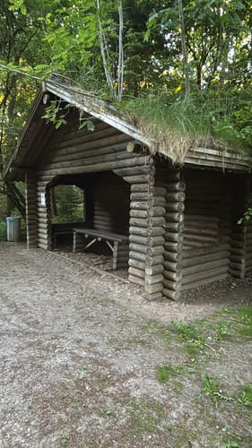 Runde im Stellmoor-Ahrensburger Tunneltal