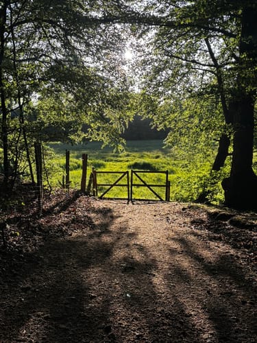Runde im Stellmoor-Ahrensburger Tunneltal