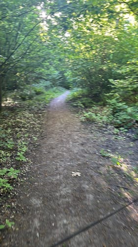 Runde im Stellmoor-Ahrensburger Tunneltal