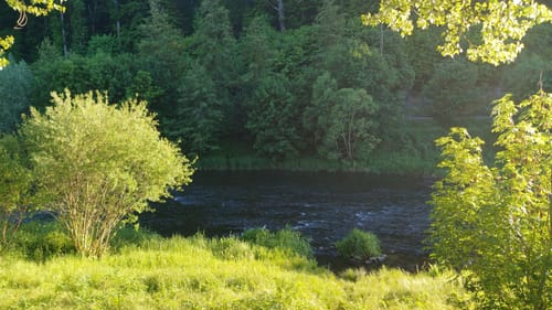 Um Bad Köstritz entlang der Weißen Elster