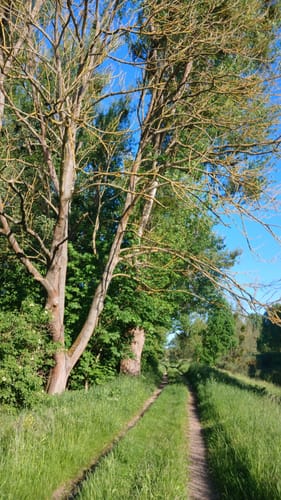 Um Bad Köstritz entlang der Weißen Elster