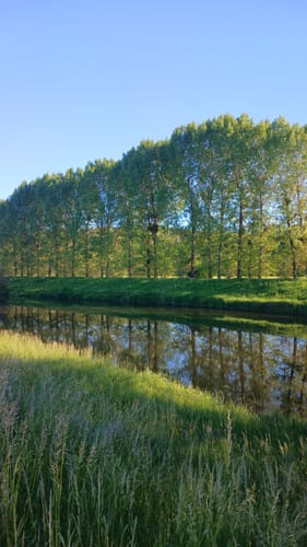Um Bad Köstritz entlang der Weißen Elster