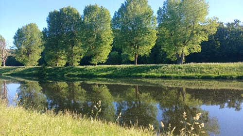 Um Bad Köstritz entlang der Weißen Elster